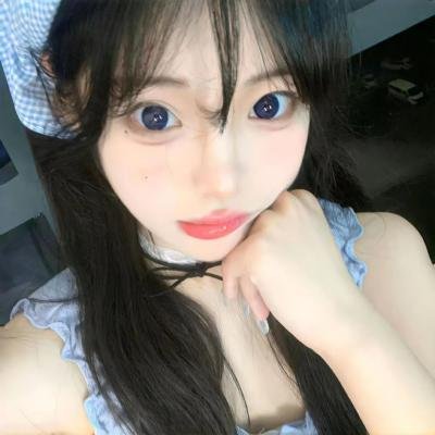 动物宝宝